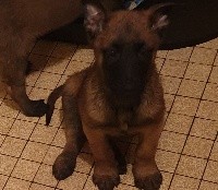 Paco